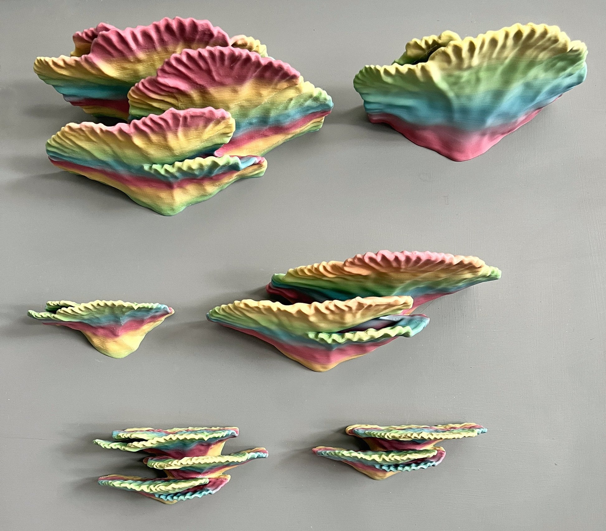 Étagère de corail flottante phosphorescente « Montipora Capricornis » « Lot complet »