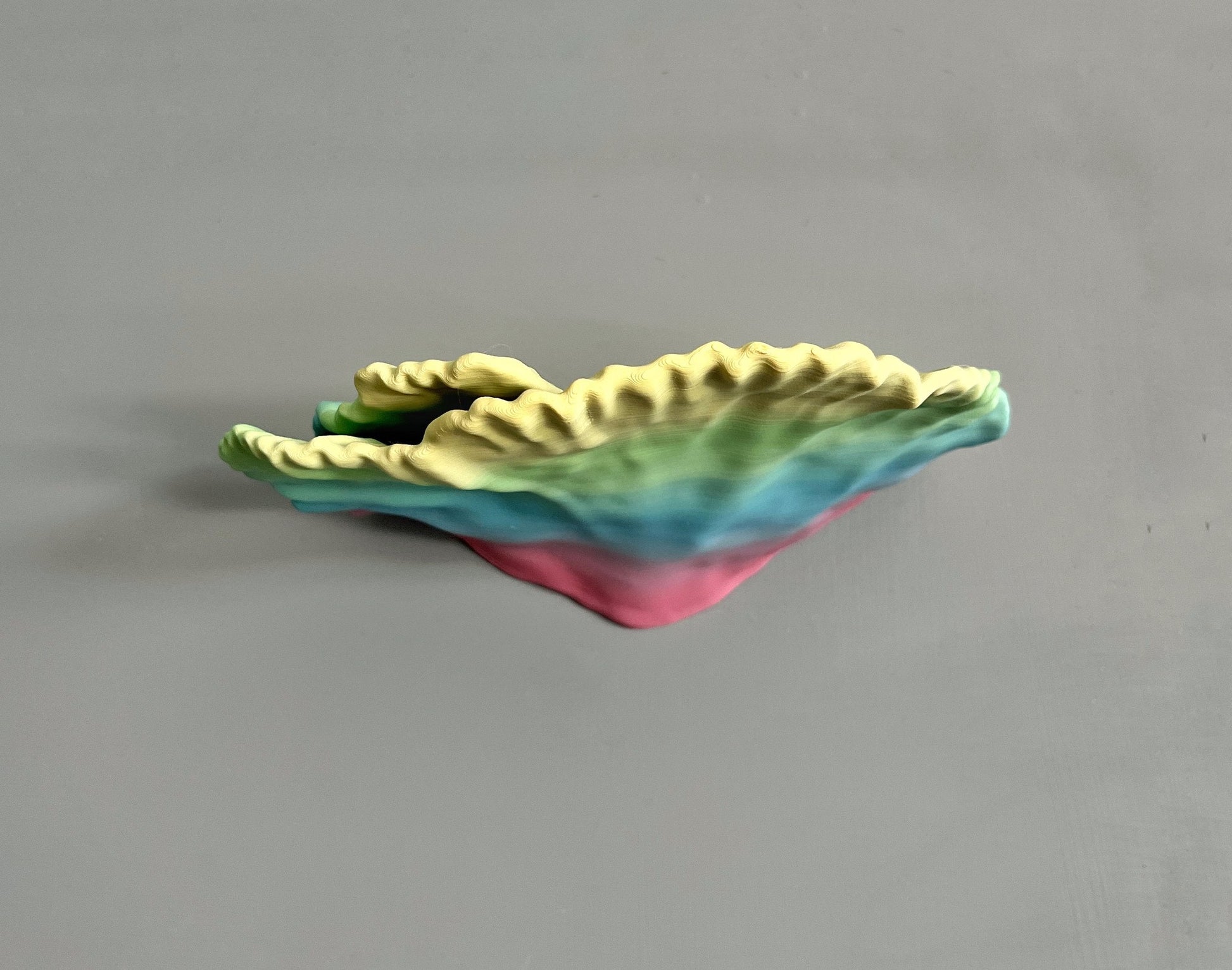 Étagère de corail flottante phosphorescente « Montipora Capricornis » « Lot complet »