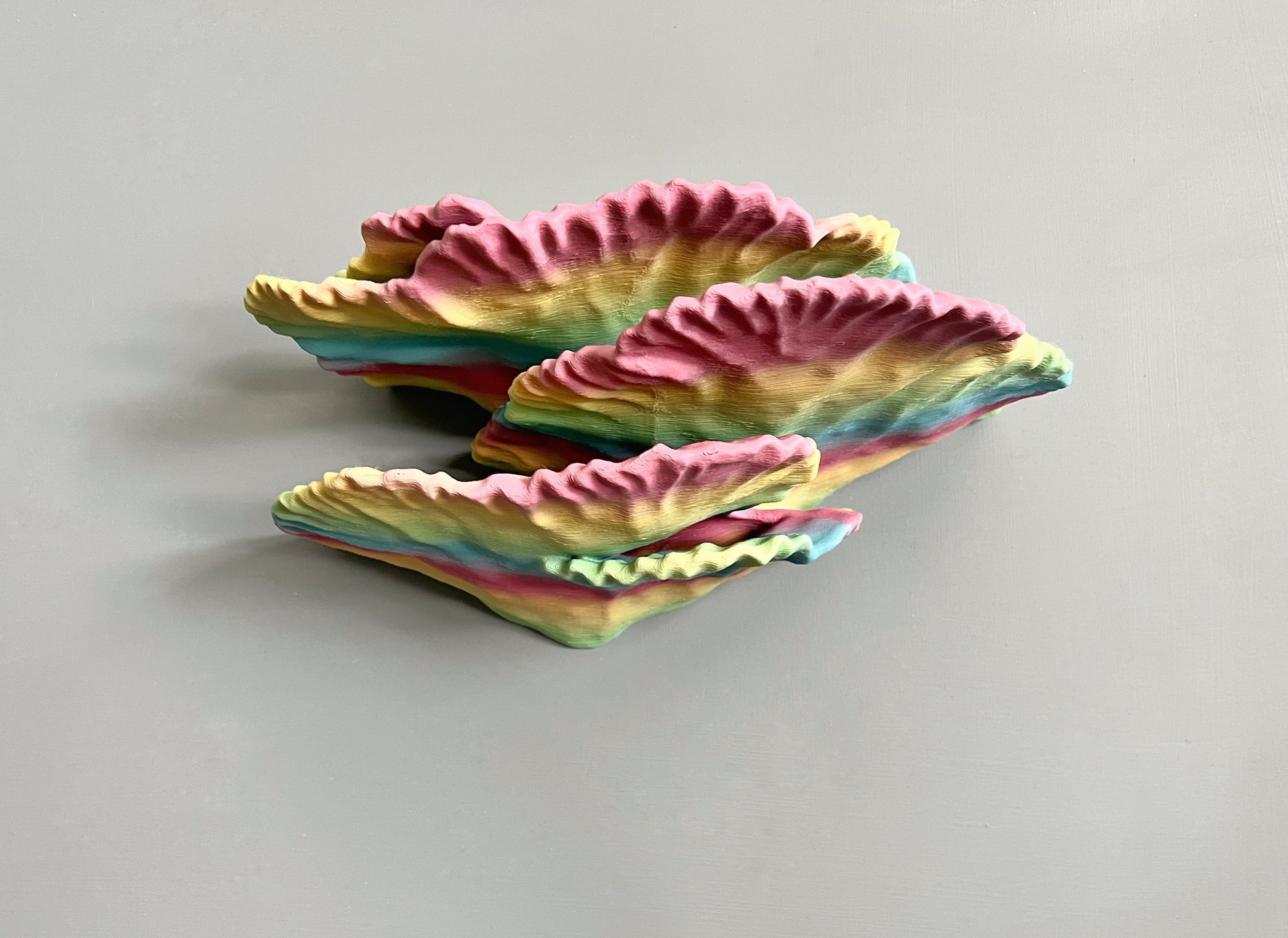 Étagère en corail flottante phosphorescente « Montipora Capricornis » de taille moyenne