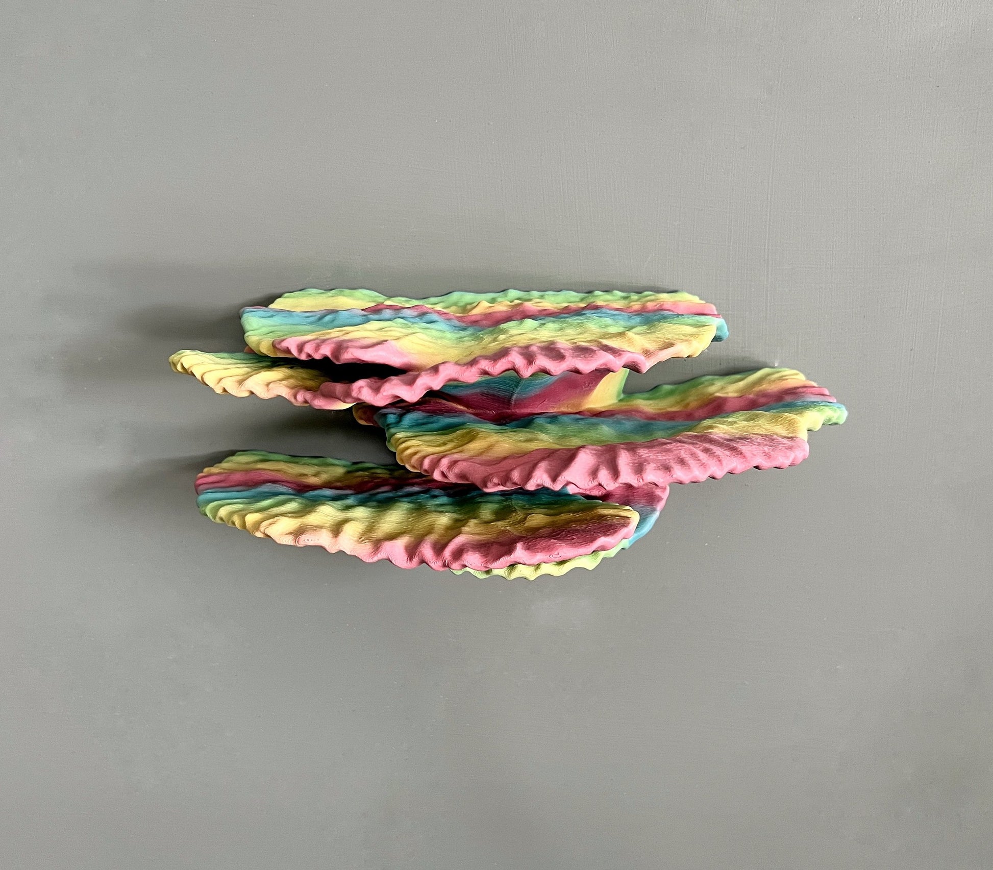 Étagère en corail flottante phosphorescente « Montipora Capricornis » de taille moyenne