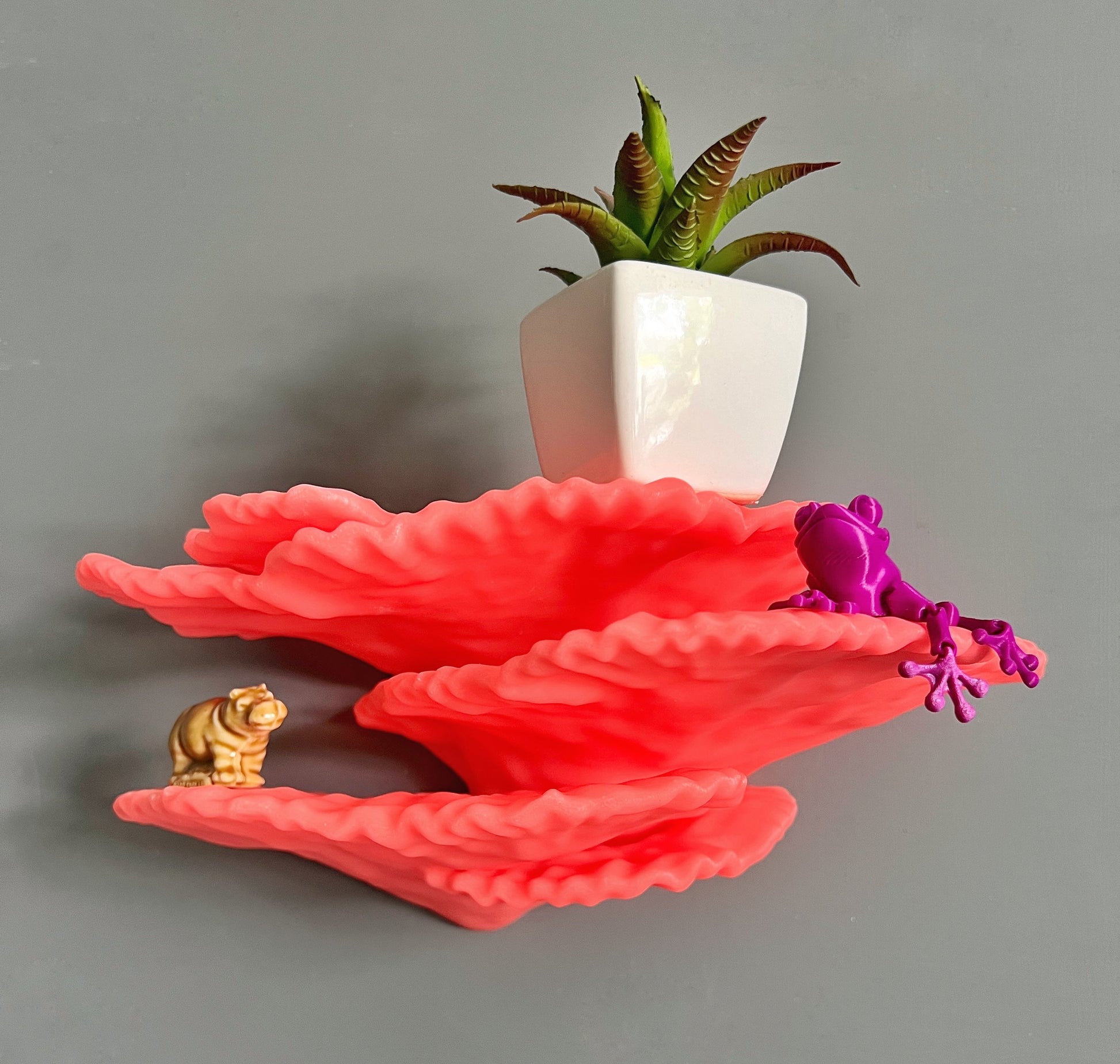 Étagère en corail flottante phosphorescente « Montipora Capricornis » de taille moyenne