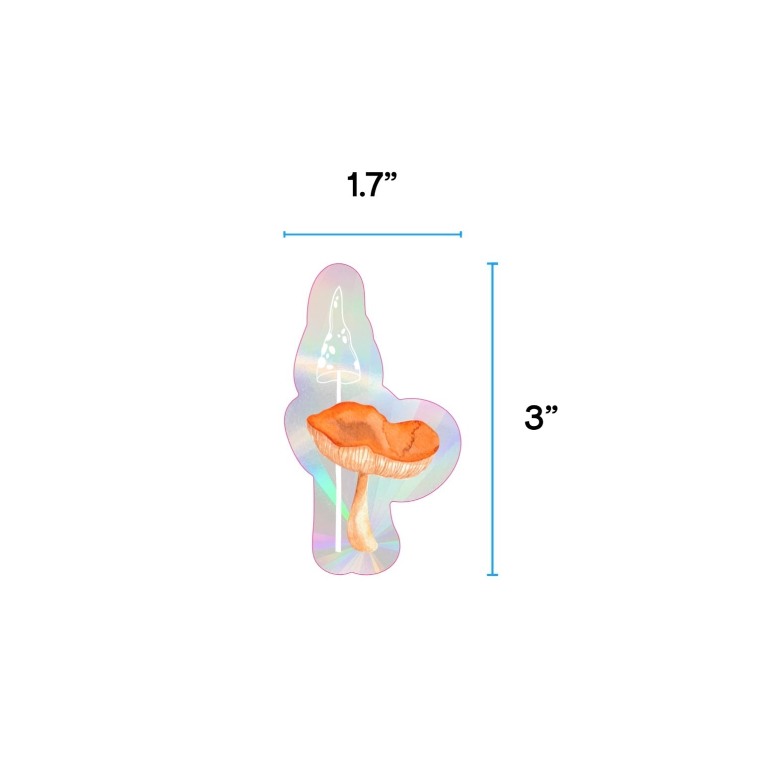 Sticker Set: Watercolour Toadstools