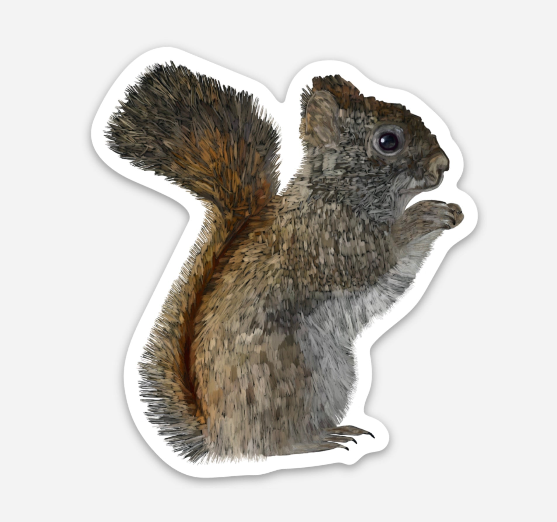 Autocollant en vinyle - Écureuil roux américain