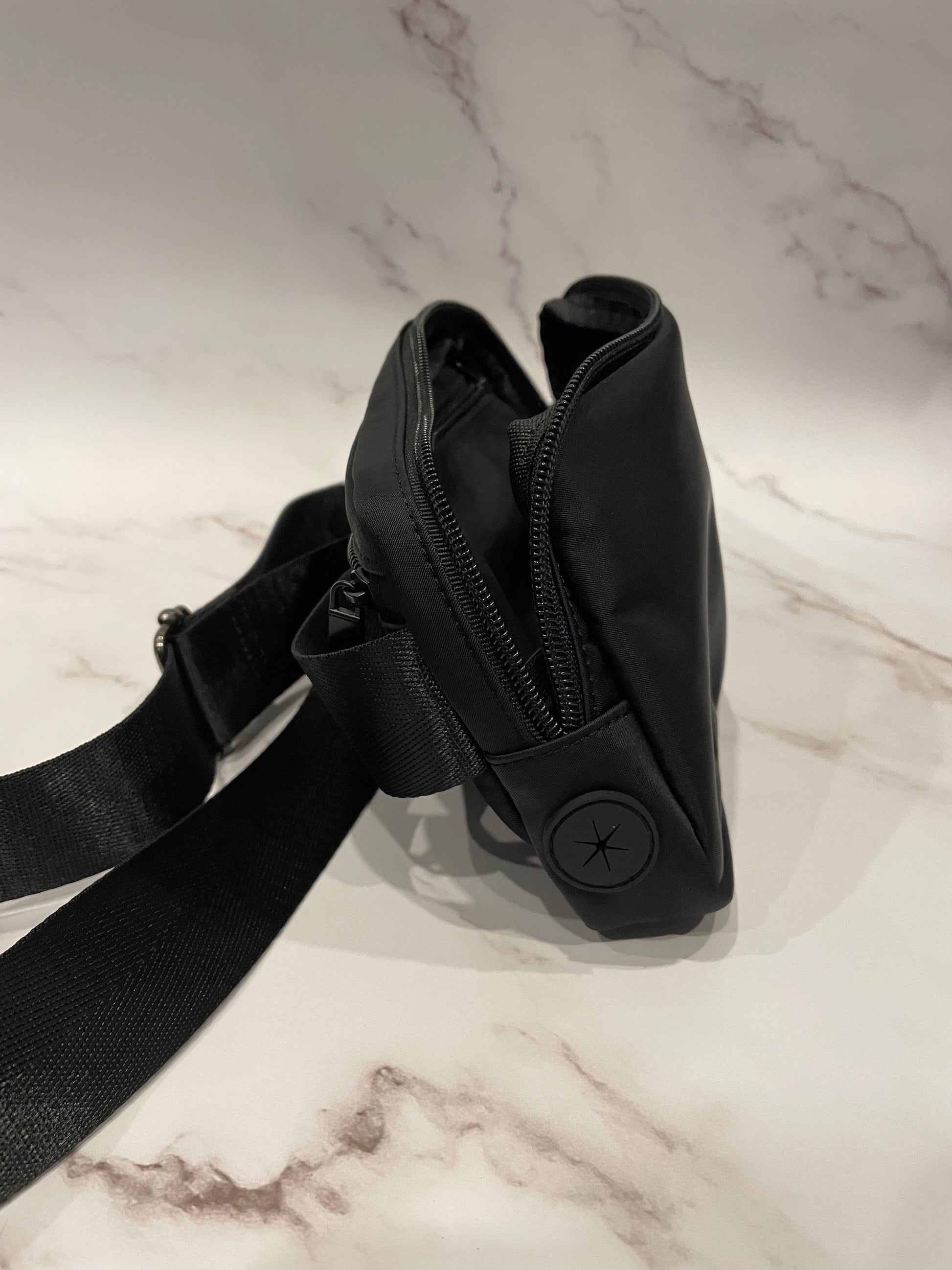 Sac banane pour promener son chien