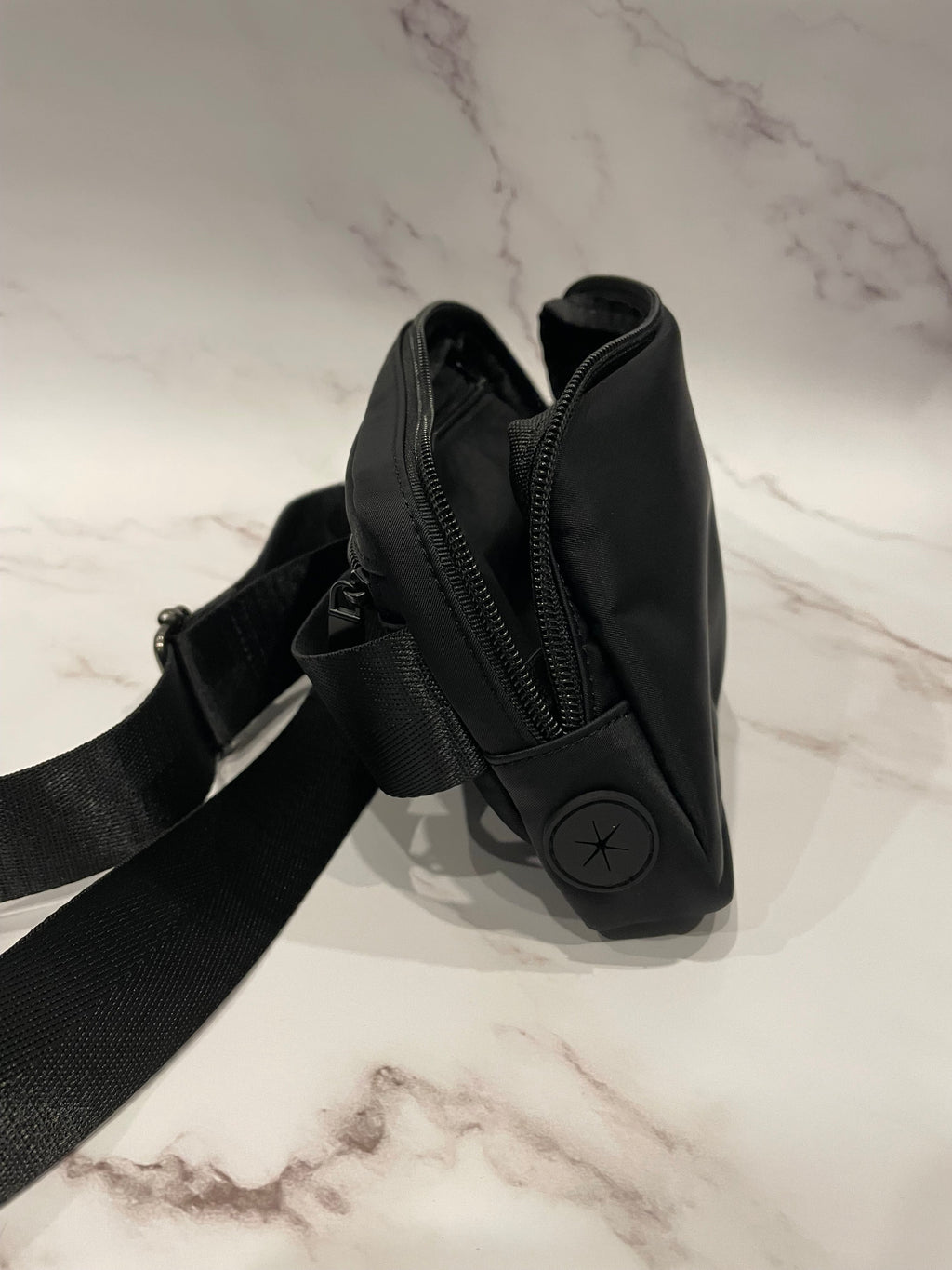 Sac banane pour promener son chien