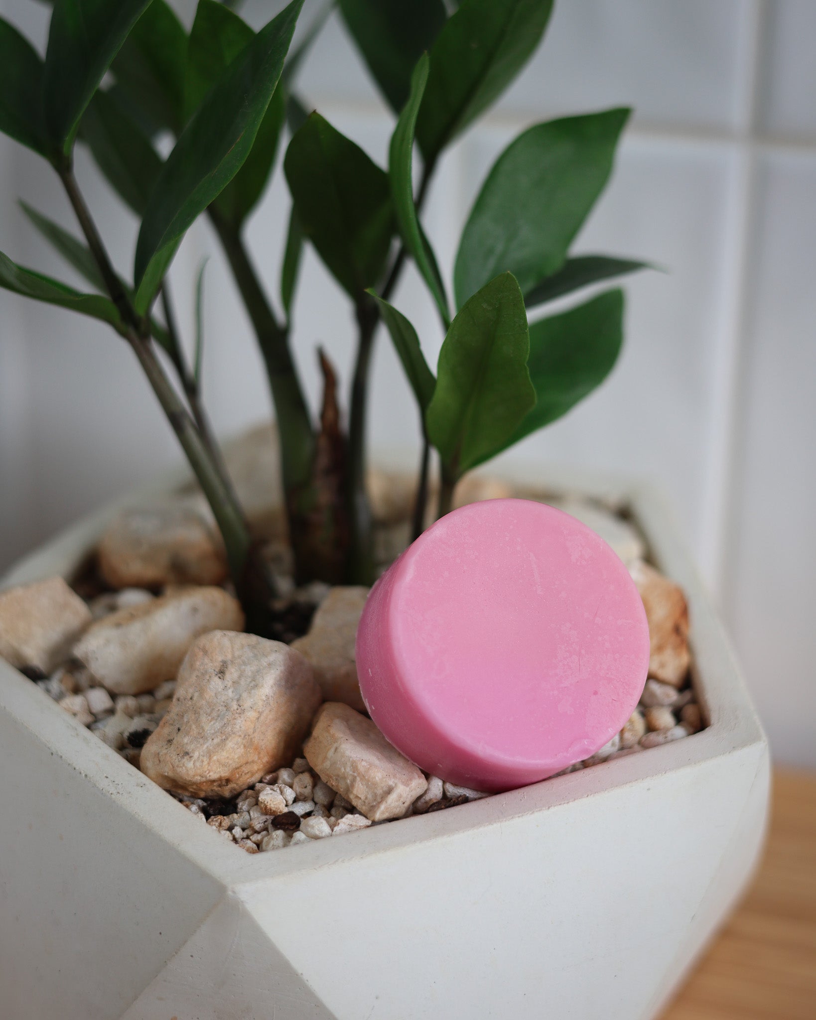 Rad Hair Day Conditioner Bar