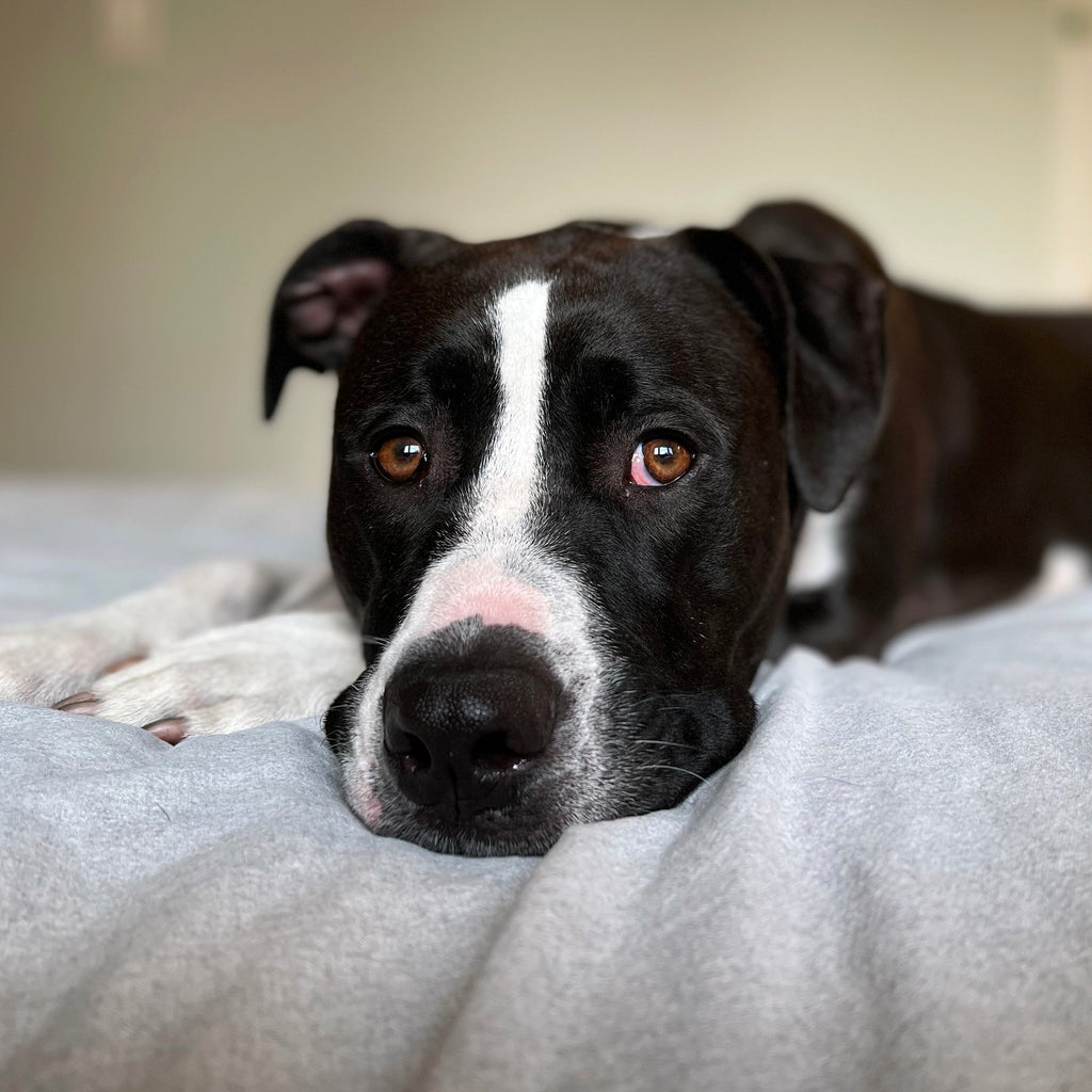 Chapeau en nylon Ramona 