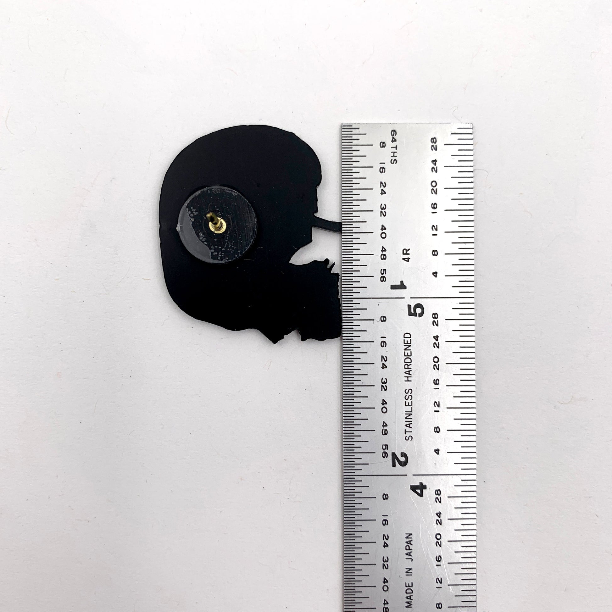 Vertical Section of the Brain and Skull Pin