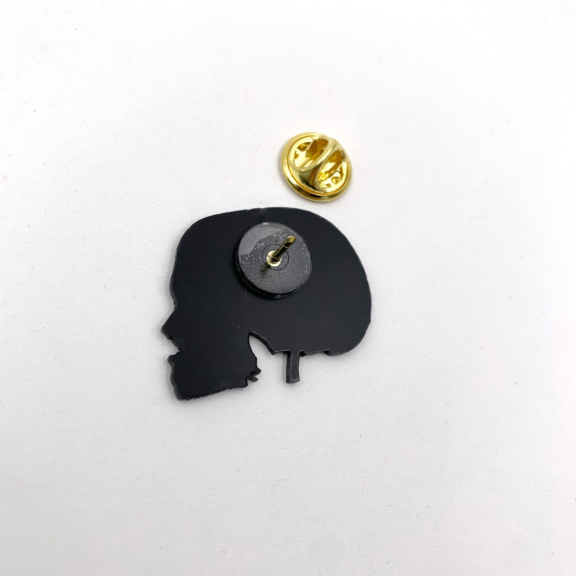 Vertical Section of the Brain and Skull Pin