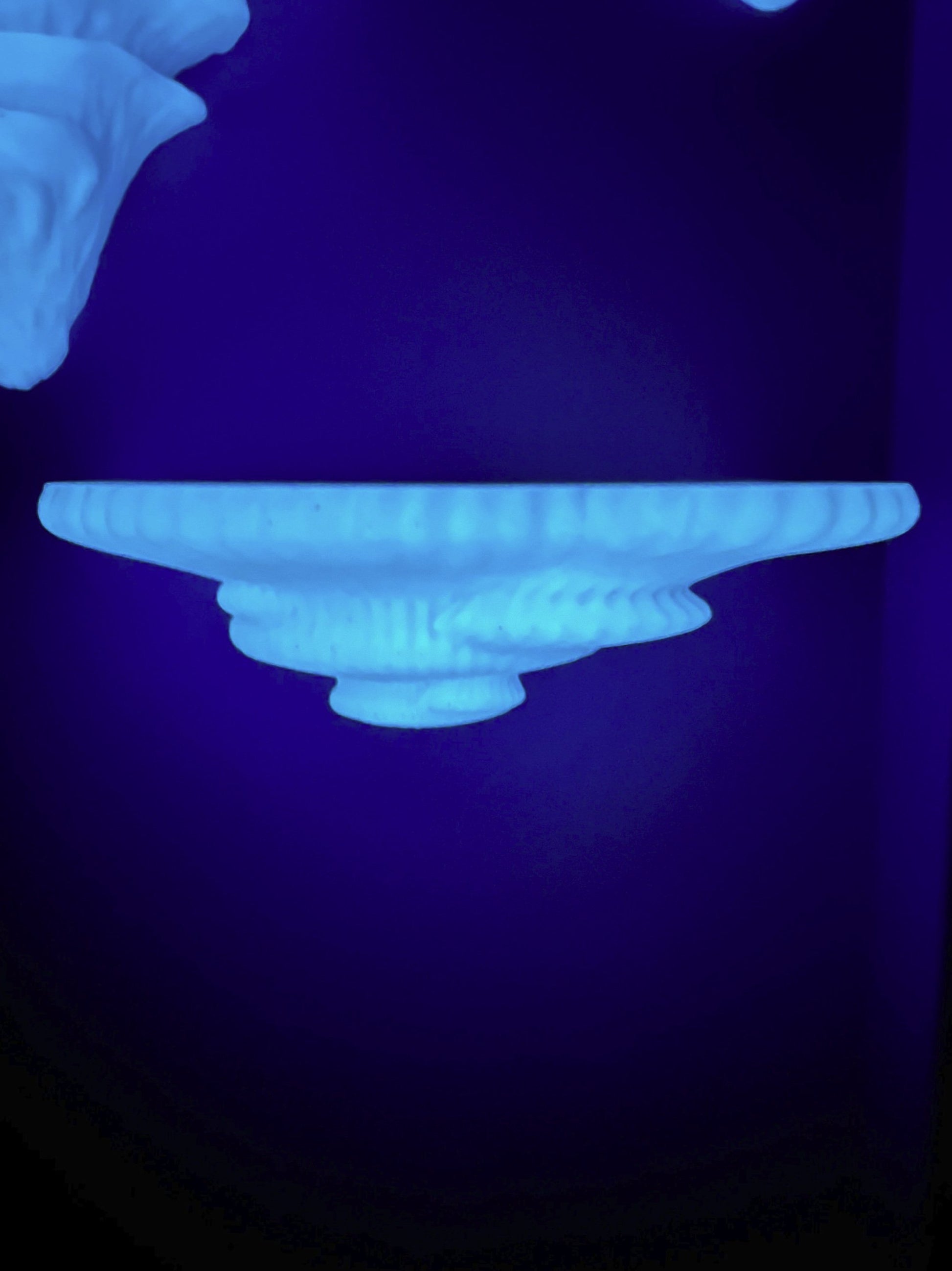 Étagère à champignons imprimée en 3D Tinder Fungus, décoration botanique phosphorescente pour la maison