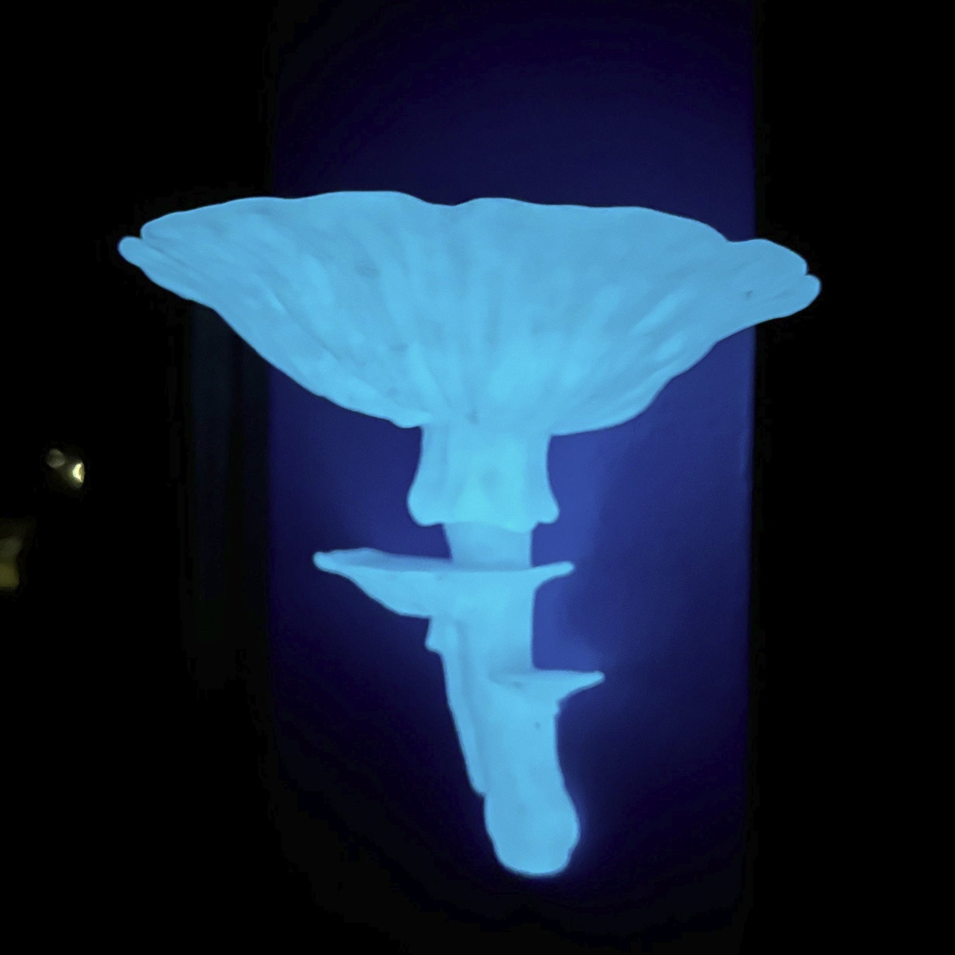 3d Printed Amanita Mushroom Shelf, Glow in the Dark decor