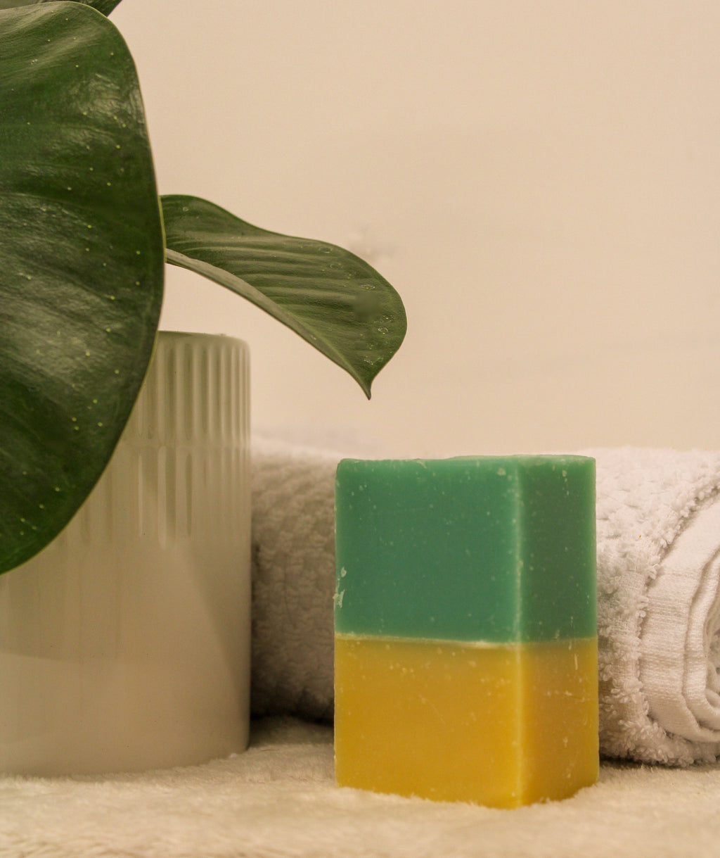 Coconut Lime Bar Soap