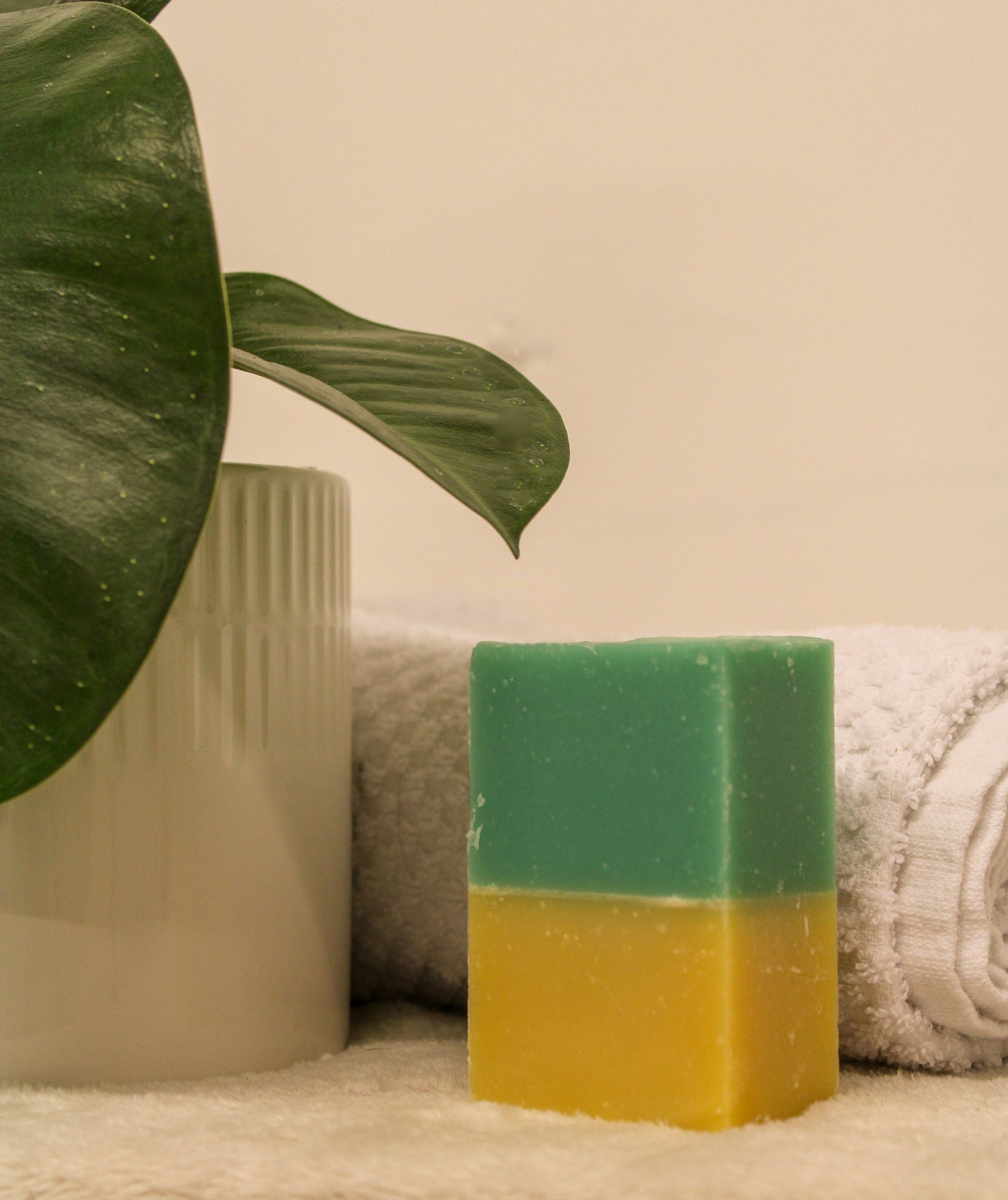 Coconut Lime Bar Soap