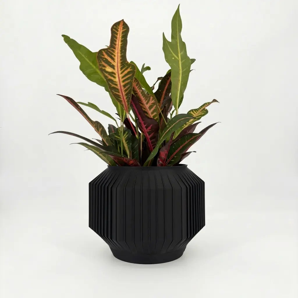JEJU Planter