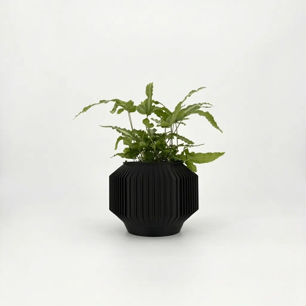 JEJU Planter