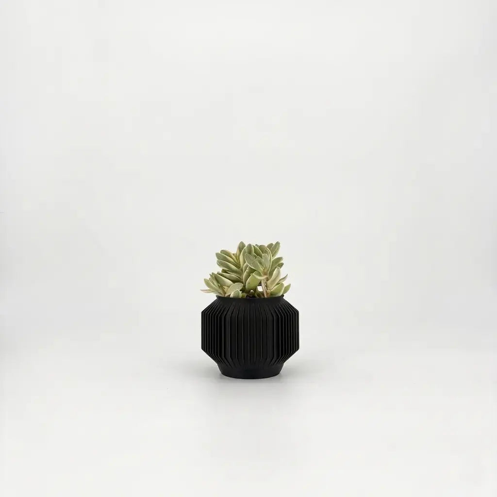 JEJU Planter