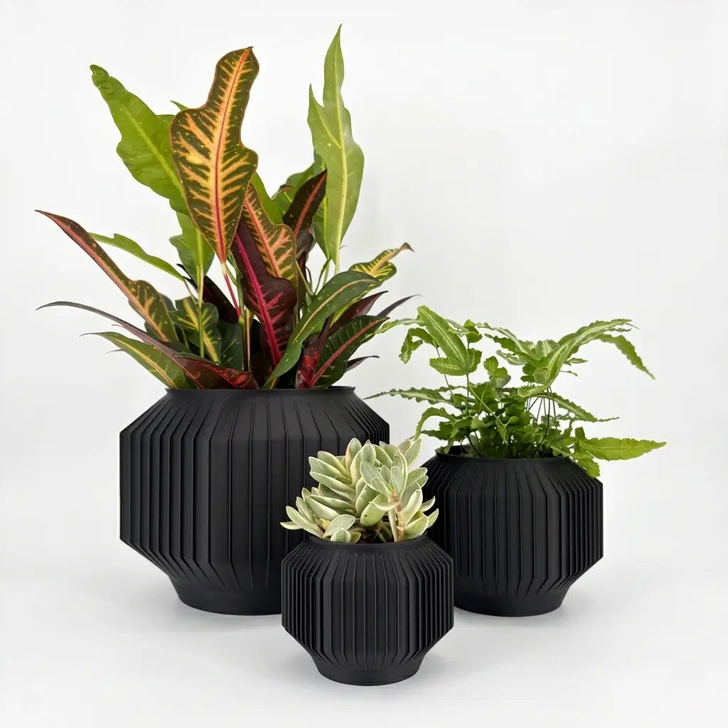 JEJU Planter