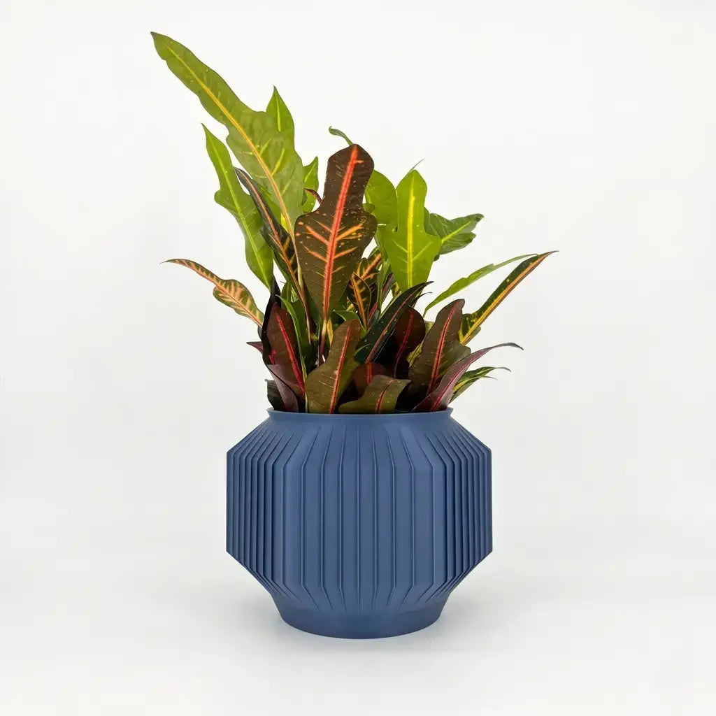 JEJU Planter