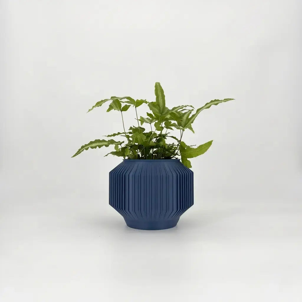 JEJU Planter