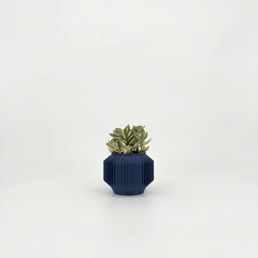 JEJU Planter