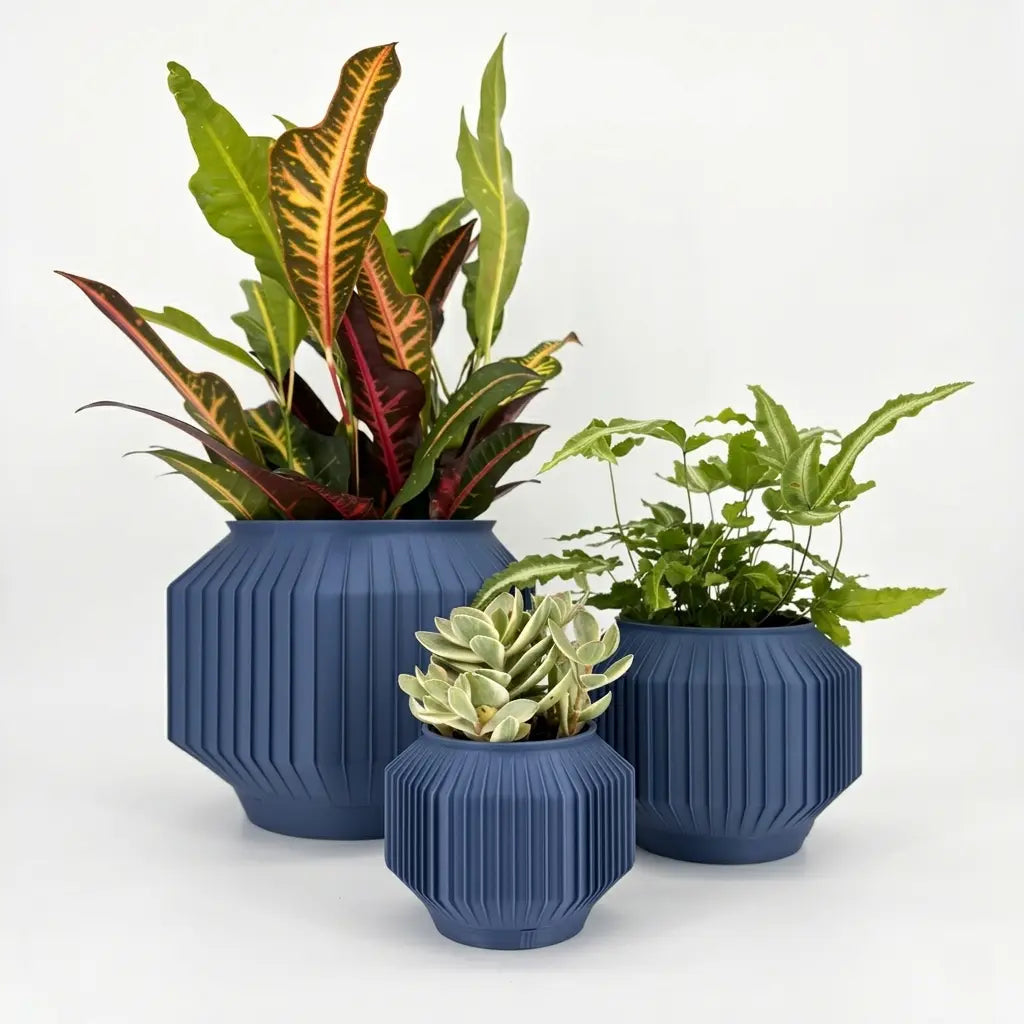 JEJU Planter