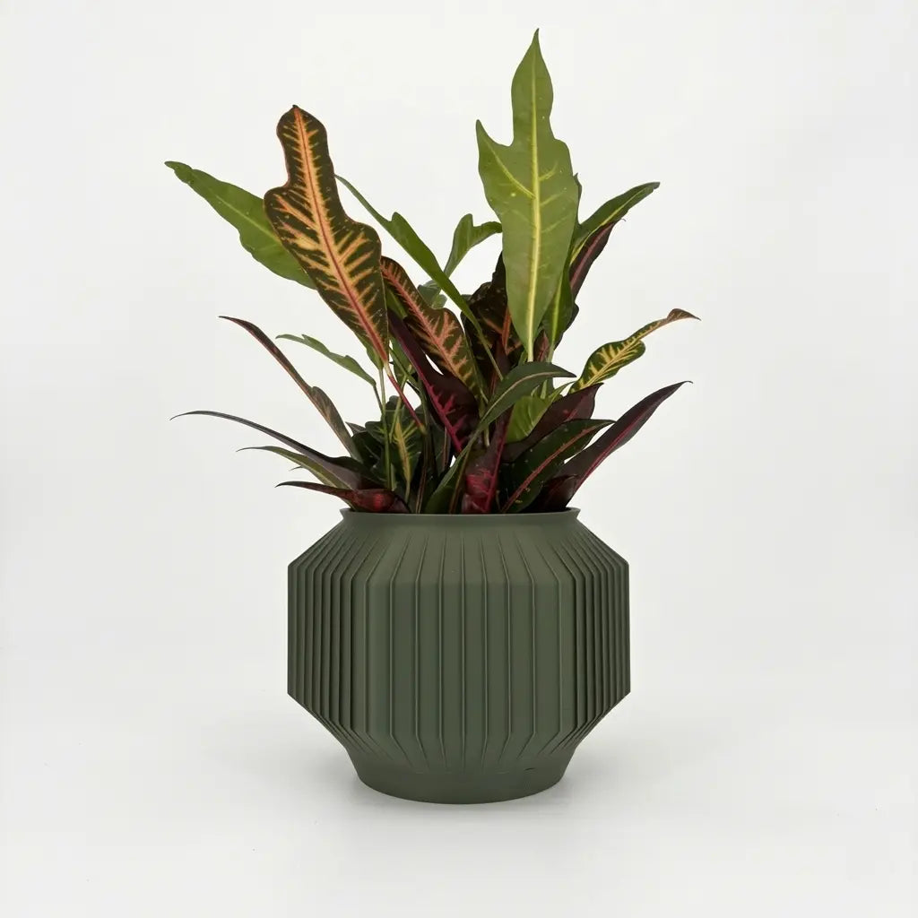 JEJU Planter