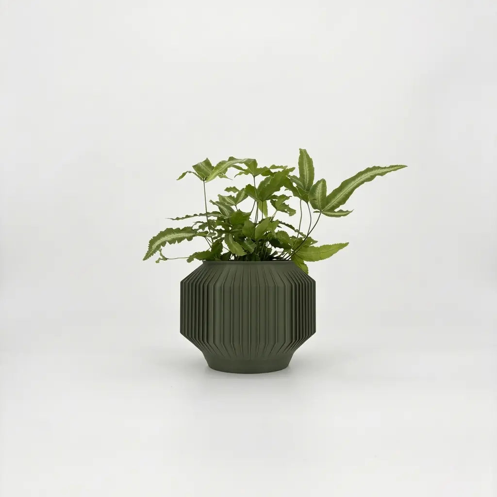 JEJU Planter