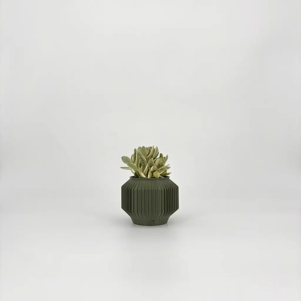 JEJU Planter