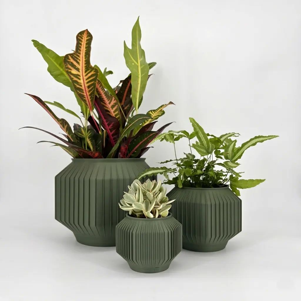 JEJU Planter