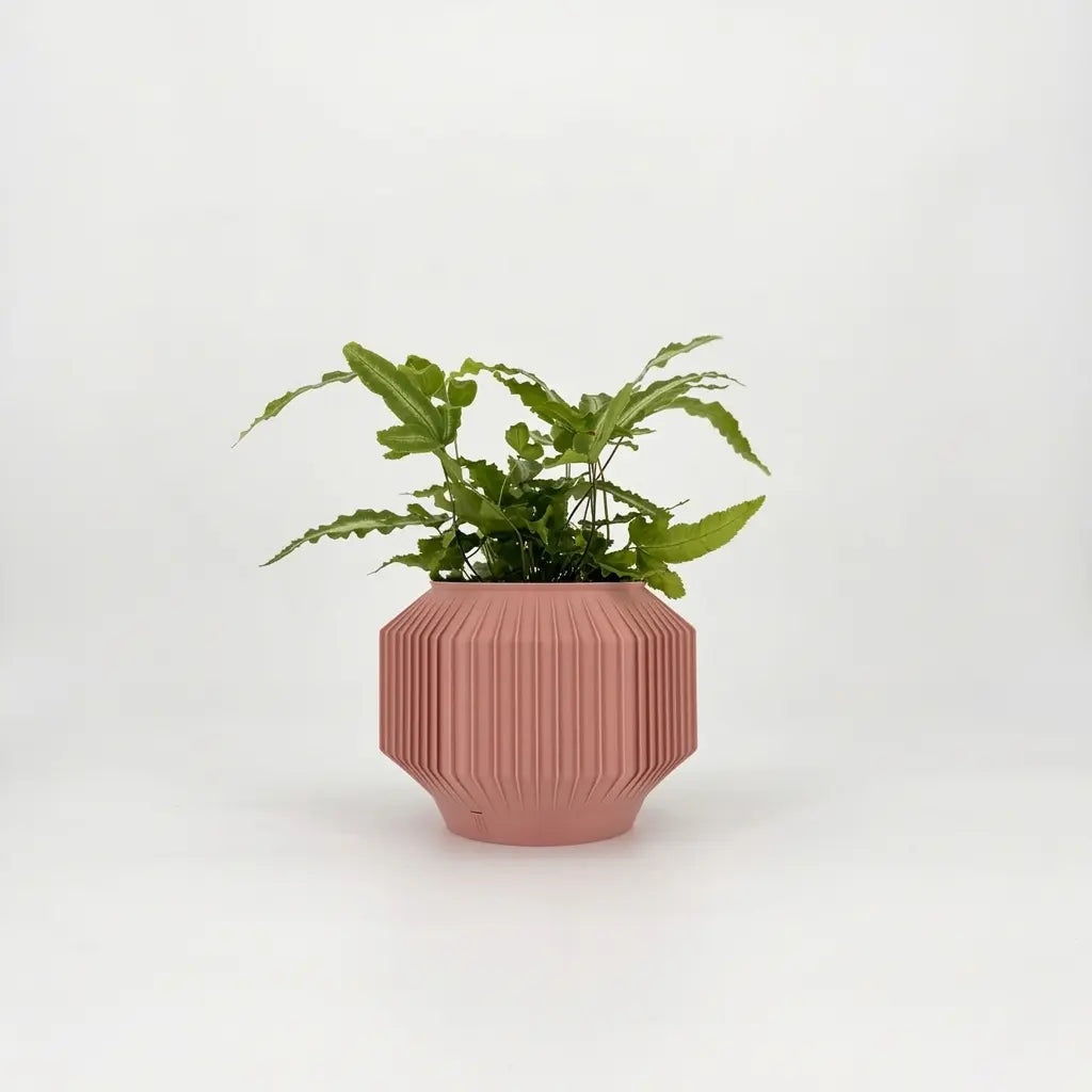 JEJU Planter