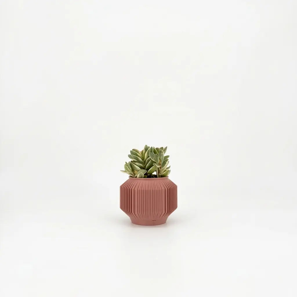 JEJU Planter