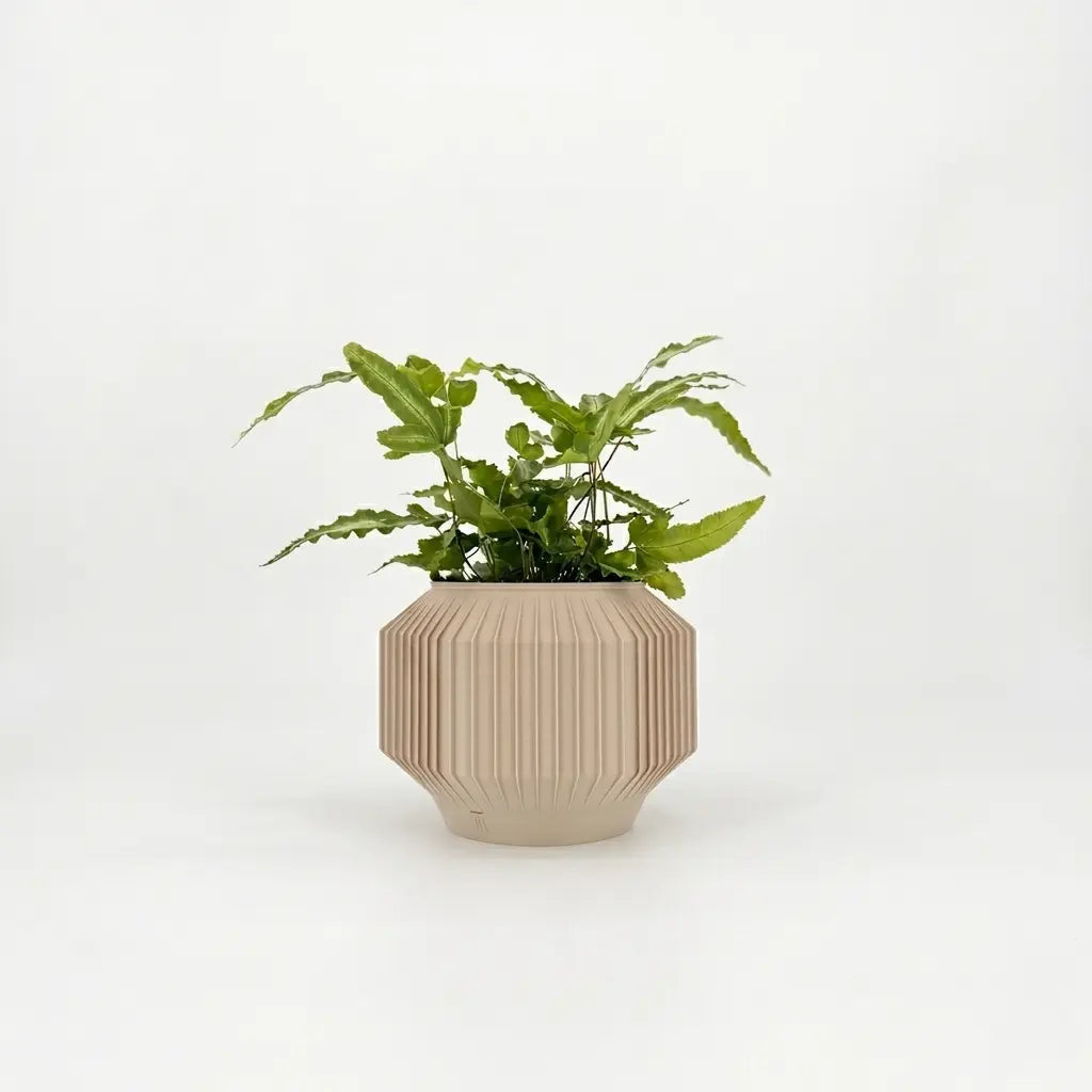 JEJU Planter