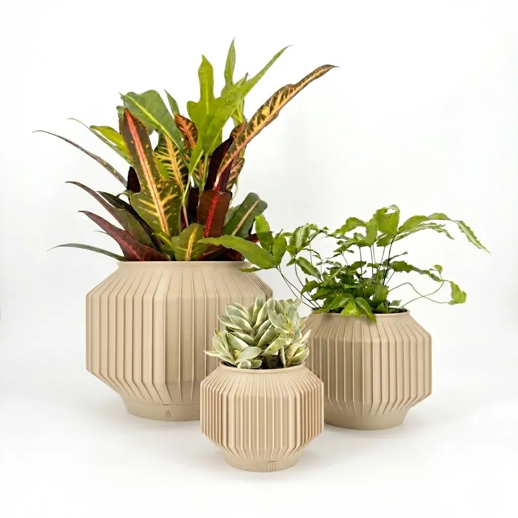 JEJU Planter
