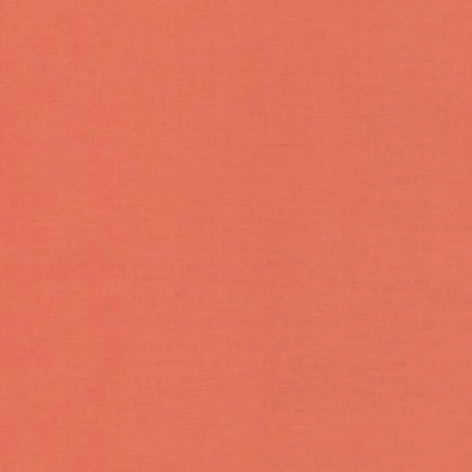 Coton Kona uni - Nectarine