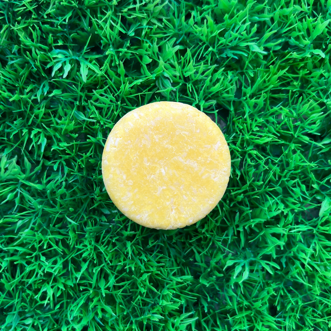 FREE GIFT | Rise + Grind Shampoo Bar