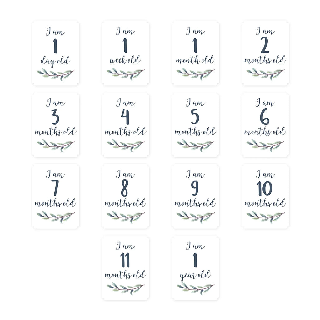 LULUJO Baby's 1st Year Milestone Blanket