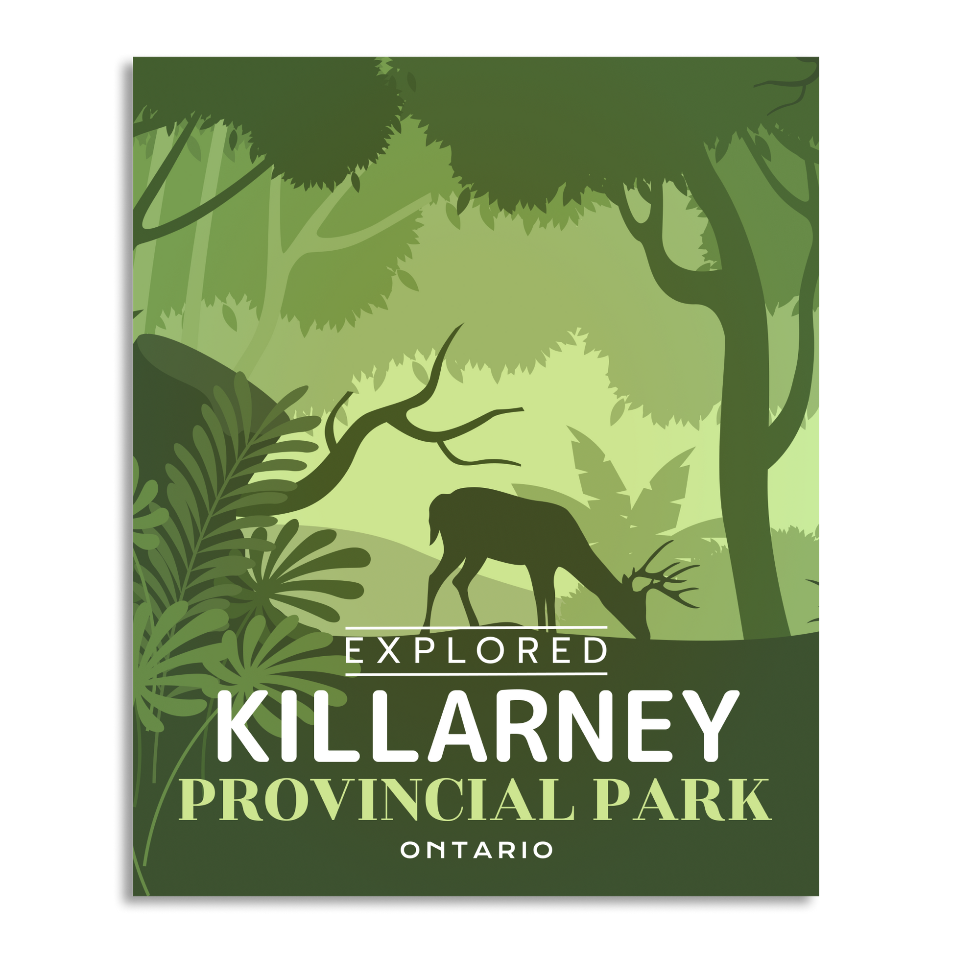 Affiche « Explorée » du parc provincial de Killarney