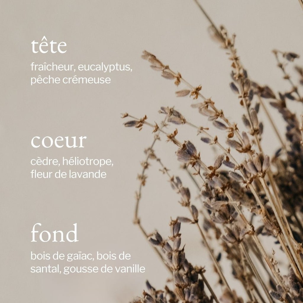 Reed Diffuser | Lavender, Sandalwood & Vanilla