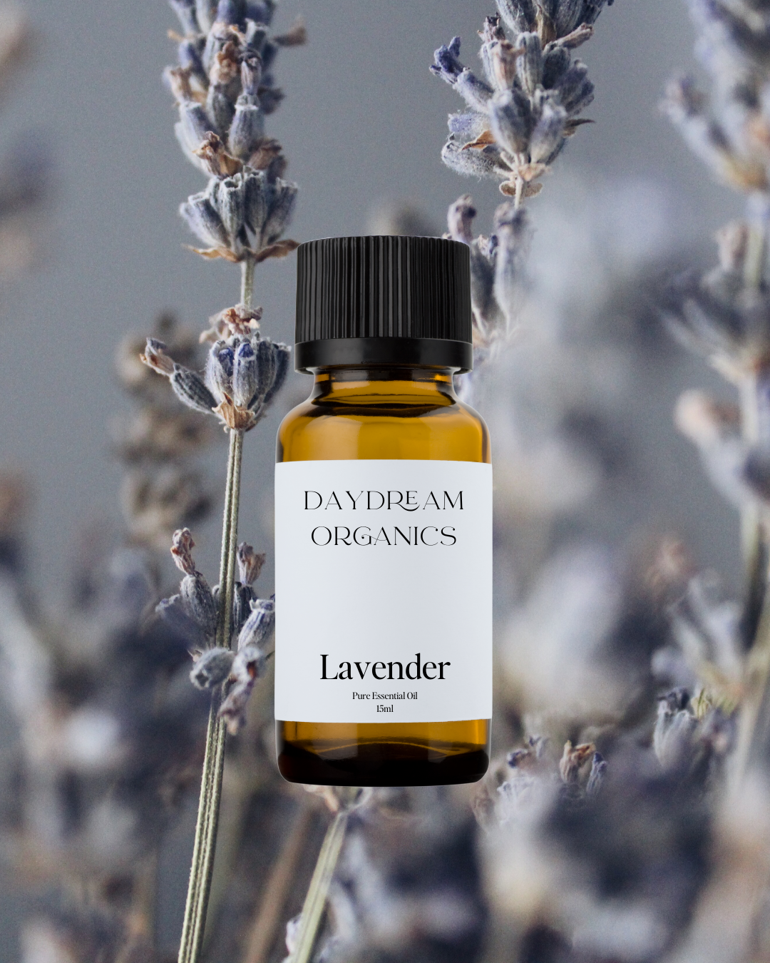 Lavender Essential Oil