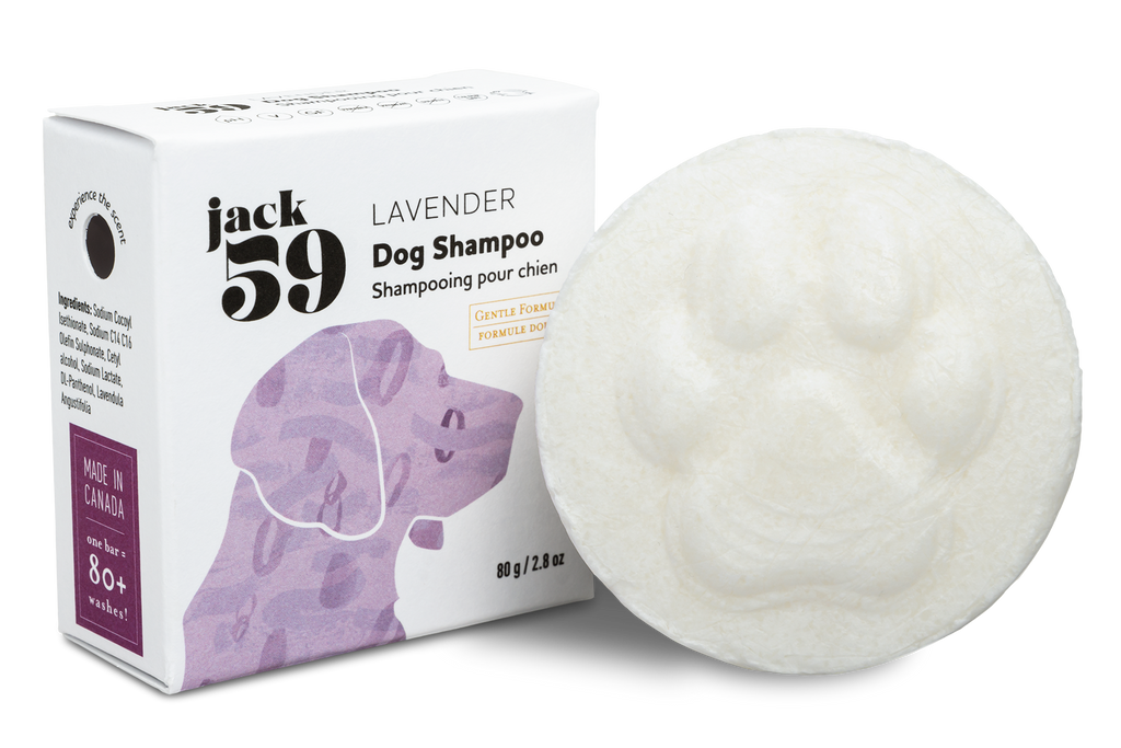 Shampoing pour chien - Lavande