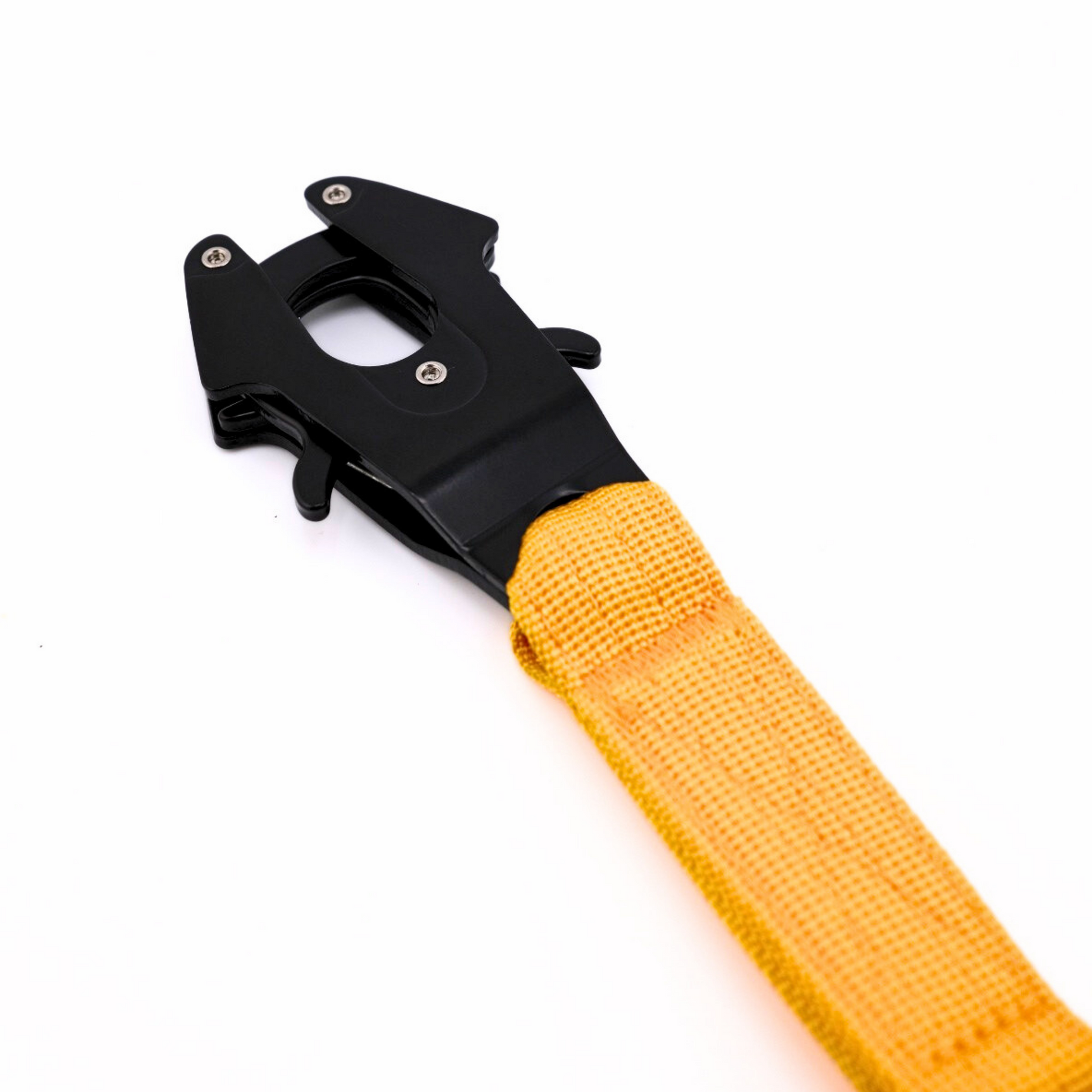 Laisse pour chien robuste