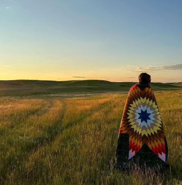 Kit de courtepointe Lone Star - Deux options pour l'atelier Lone Star de Plains &amp; Pine