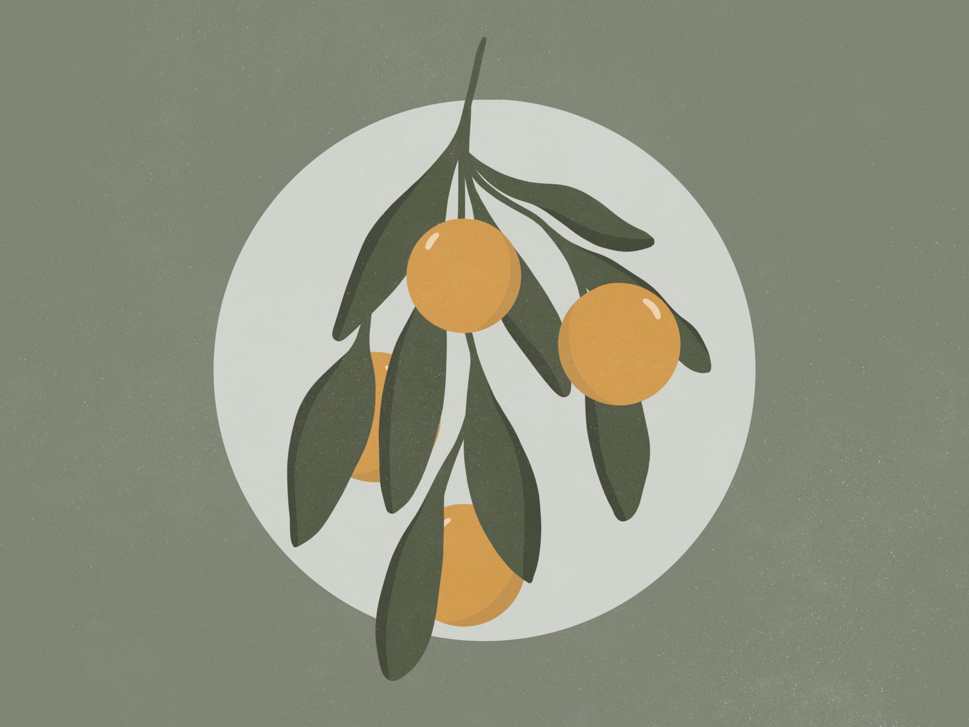 Olive Garden Bundle-2