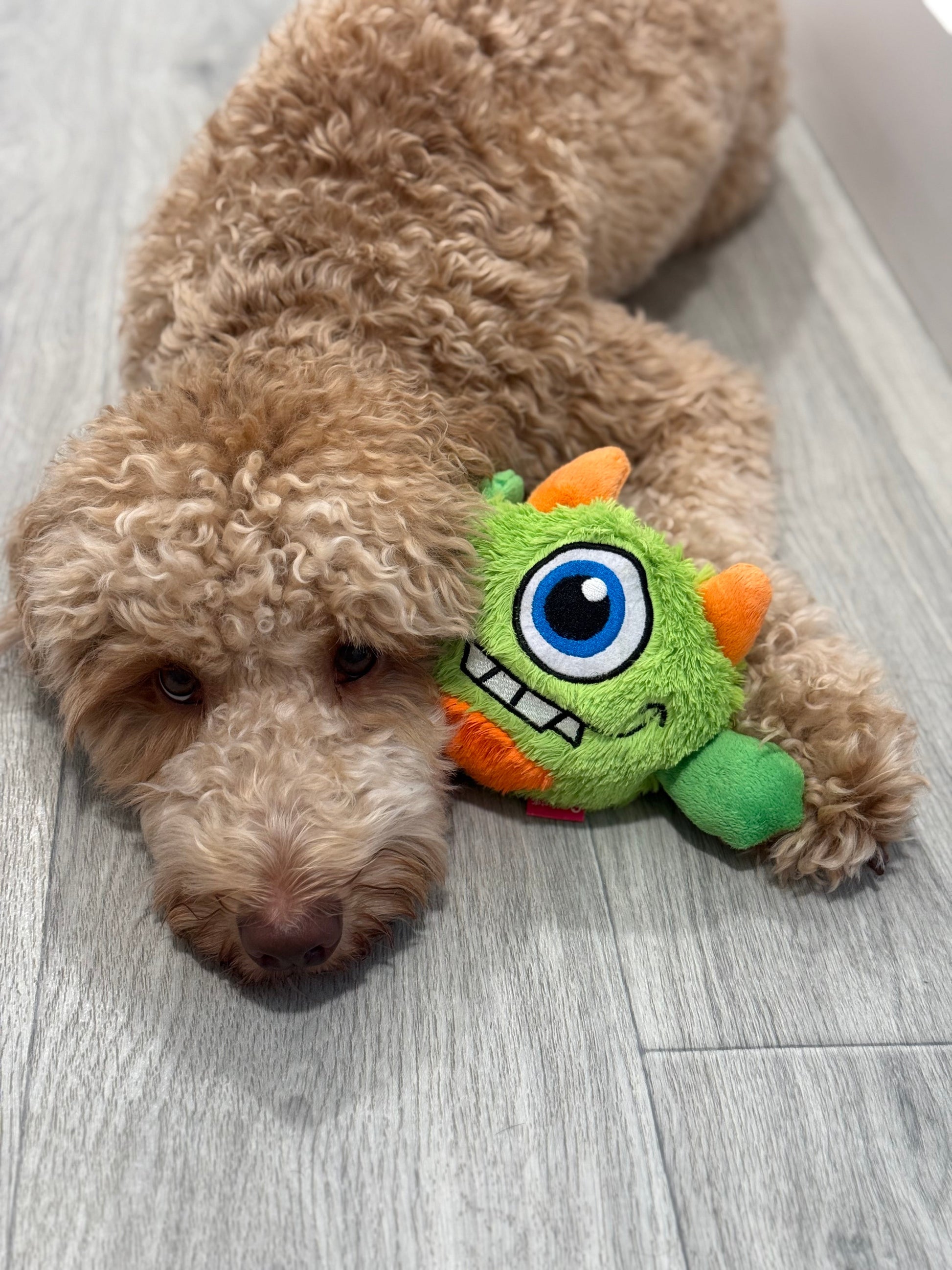 Jouet pour chien monstre avec balle distributrice de friandises - Peluche et puzzle interactif