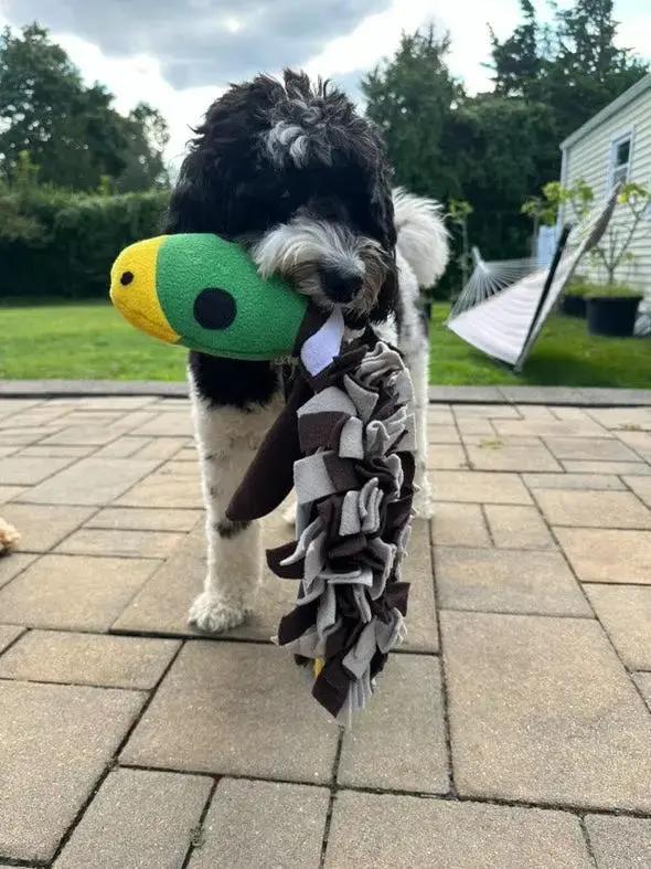 Squeaky Duck Snuffle Mat for Dogs – 2-in-1 Toy & Foraging Fun LUFTPETS