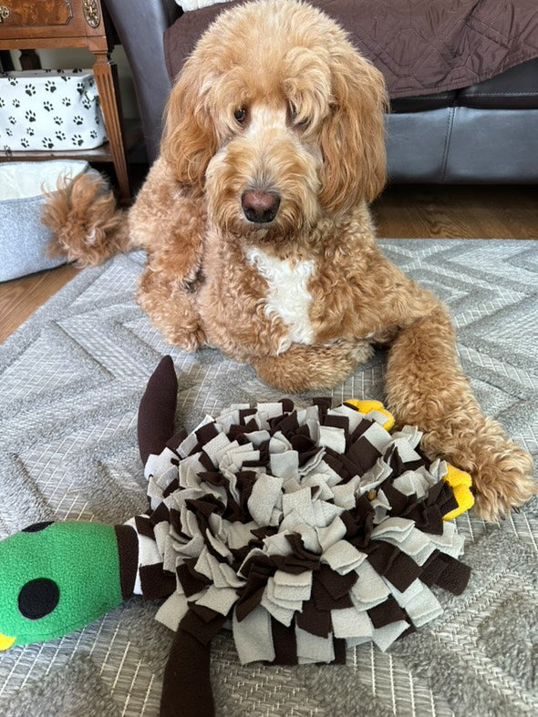 Tapis à renifler pour chiens Squeaky Duck – Jouet 2 en 1 et divertissement de recherche de nourriture