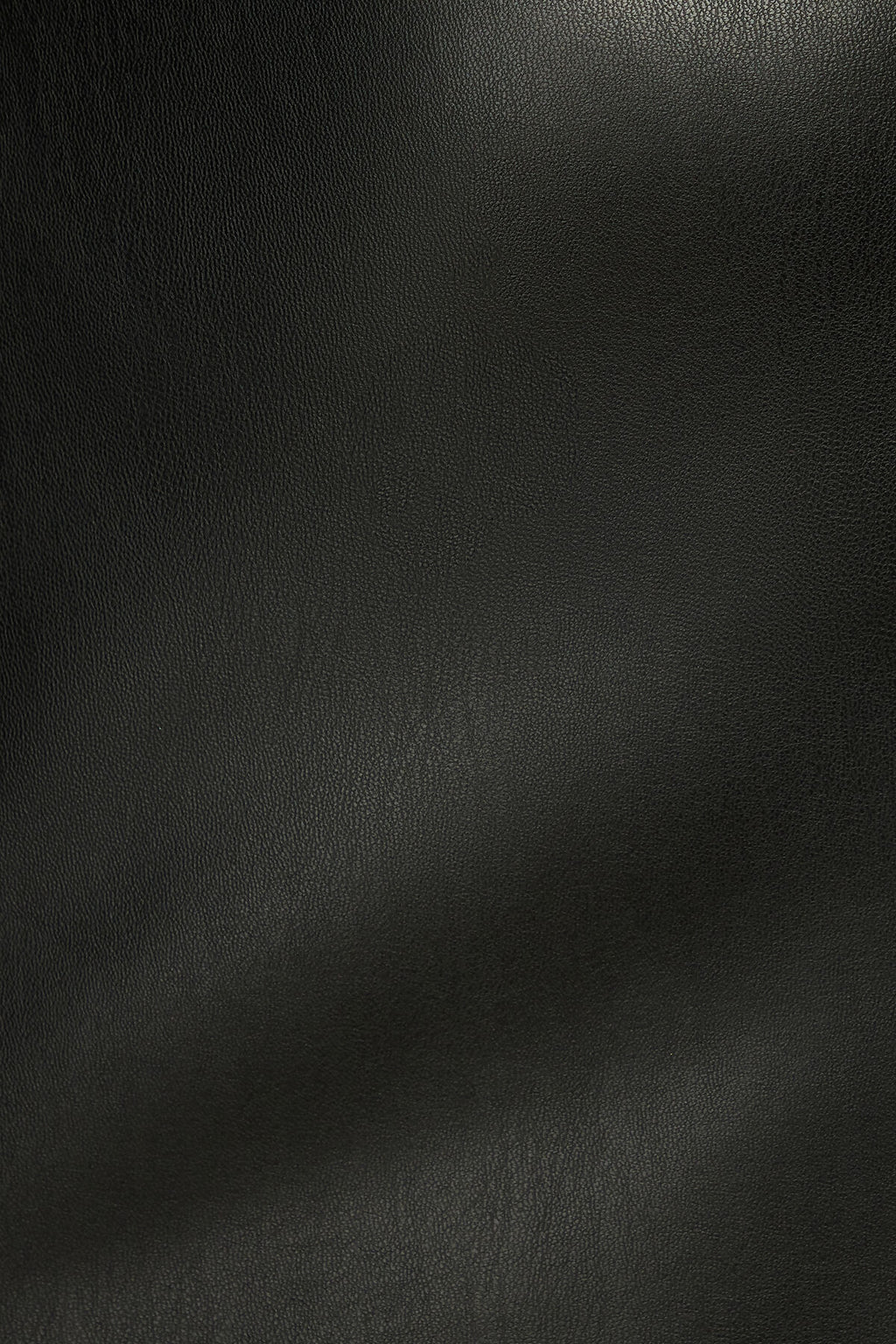 Kylie Faux Leather Mini Skirt