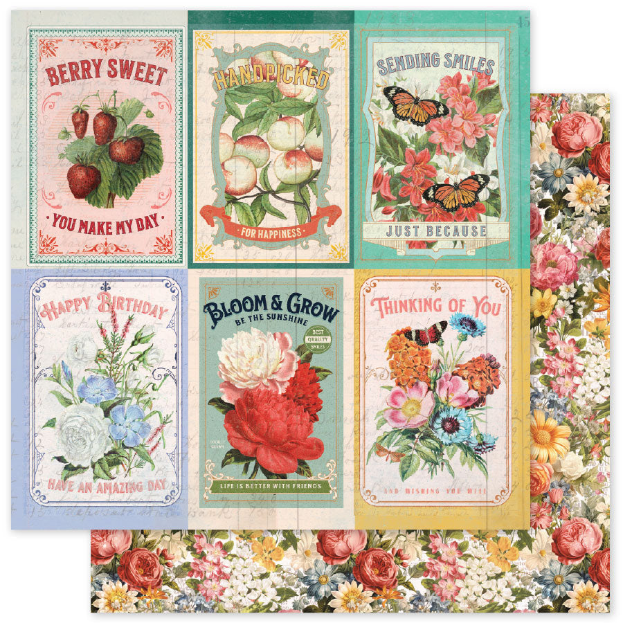 Meadowbrook Farm Basics 6x6 Paper Collection 35040
