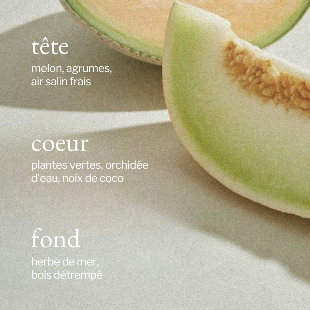 Candle | Melon + Salty Air