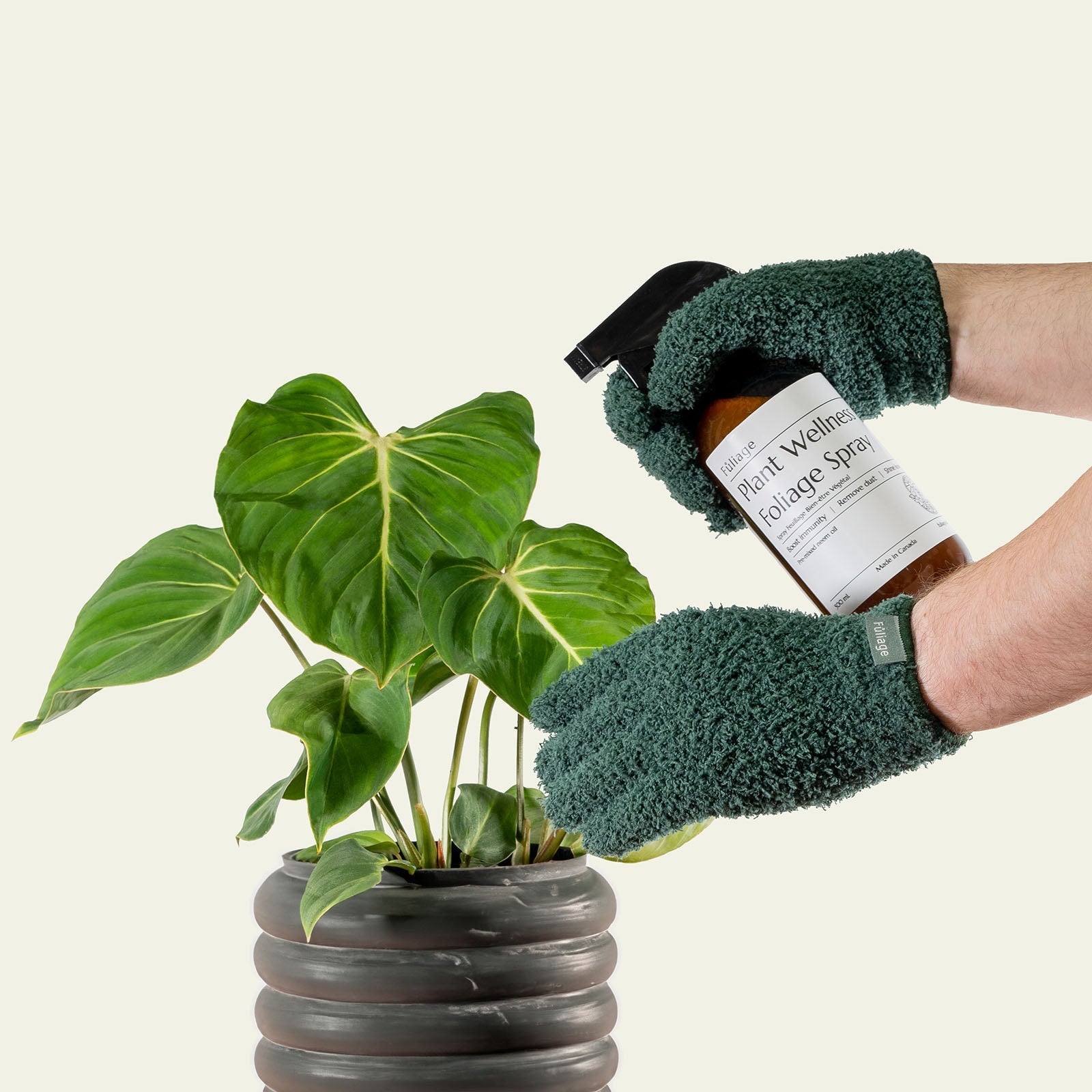 Trio complet pour l'entretien des plantes